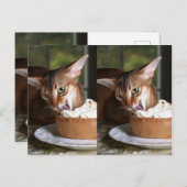 A Moment of Sweet Stillness – Art Postcard ポストカード (正面/裏面)