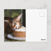 A Moment of Sweet Stillness – Art Postcard ポストカード (裏面)