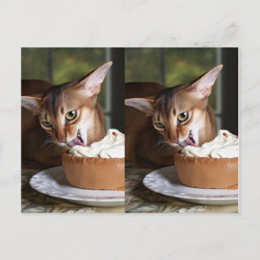 A Moment of Sweet Stillness – Art Postcard ポストカード (正面)