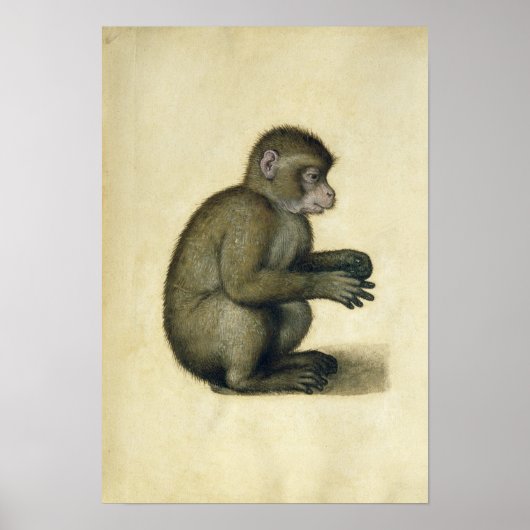 A Monkey ポスター (正面)