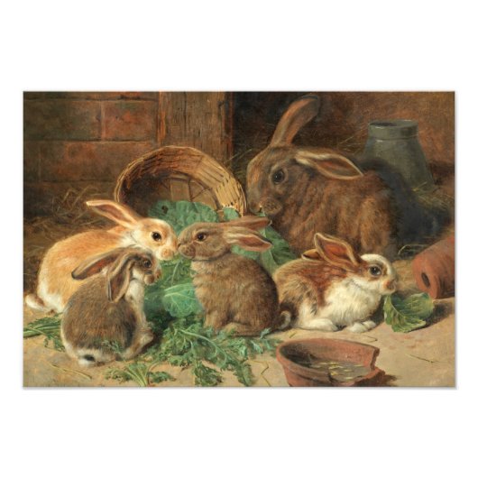 A Mother Rabbit and her Young by Alfred Barber フォトプリント (正面)