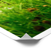 A Mother’s Kiss ポスター (角)