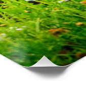 A Mother's Kiss Wildlife Nature Art Print ポスター (コーナー)