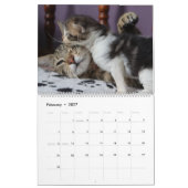 A MOTHERS LOVE MAMACAT & HER KITTENS カレンダー (2月 2027)