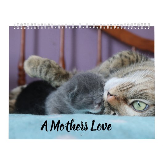 A MOTHERS LOVE MAMACAT & HER KITTENS カレンダー (カバー)