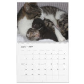A MOTHERS LOVE MAMACAT & HER KITTENS カレンダー (3月 2027)