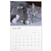 A MOTHERS LOVE MAMACAT & HER KITTENS カレンダー (1月 2027)