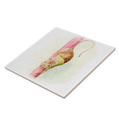 “A Mouse Ran Down the Bell Rope” by Beatrix Potter タイル (側面)