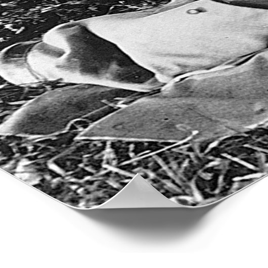 A Mulliganを服用： 1906 ポスター (角)