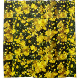 A Multitude of Yellow Mums シャワーカーテン