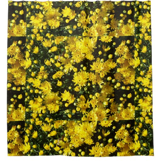 A Multitude of Yellow Mums シャワーカーテン (正面)