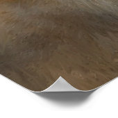 A New Dawn Poster/プリント ポスター (角)