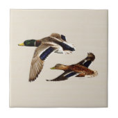 A Pair of Mallard Ducks タイル (正面)