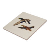 A Pair of Mallard Ducks タイル (側面)