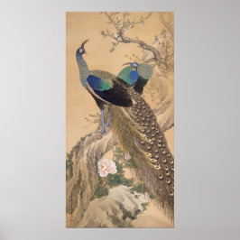 A Pair of Peacocks in Spring by Imao Keinen ポスター