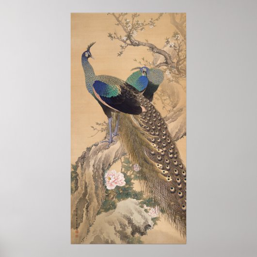A Pair of Peacocks in Spring by Imao Keinen ポスター (正面)
