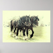 A PAIR OF SHIRES POSTER ポスター (正面)