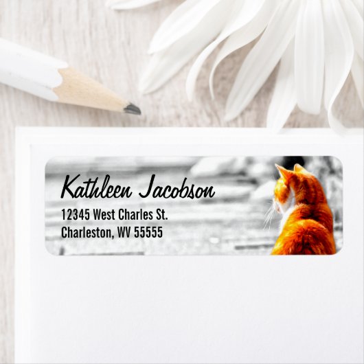 A-PALのオレンジ色のタビー猫絵を描のカスタム ラベル (インサイチュ)