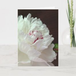 A Peony for Your Thoughts Blank Note Card ノートカード