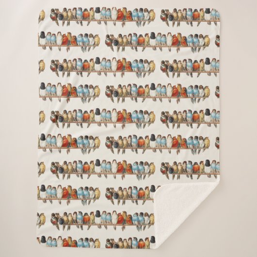 A Perch of Birdsヴィンテージフィンチイラストレーション, 1880 シェルパブランケット (正面)
