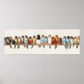 A Perch of Birdsヴィンテージフィンチイラストレーション, 1880 ポスター (正面)