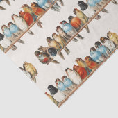 A Perch of Birdsヴィンテージフィンチイラストレーション, 1880 薄葉紙 (詳細)