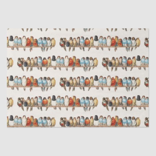 A Perch of Birdsヴィンテージフィンチイラストレーション, 1880 薄葉紙 (正面)