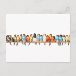 A Perch of Birds -ヴィンテージ鳥イラストレーション- ポストカード