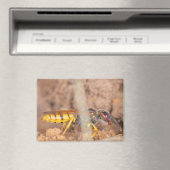 A photograph of a wasp on a magnet マグネット (インサイチュ (食洗機))