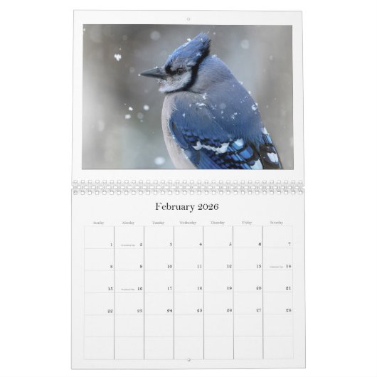 A Photographer's Perspective  カレンダー (2月 2026)