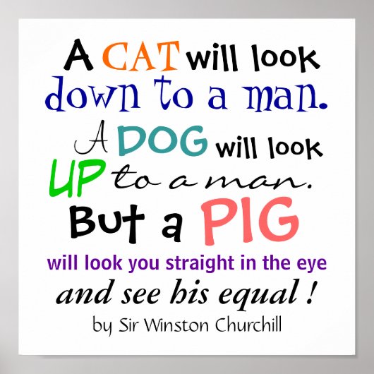 A PIG Quote by Sir Winston Churchill ポスター (正面)