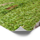 A Pond With Small Wooden Bench ポスター (角)