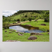 A Pond With Small Wooden Bench ポスター (正面)
