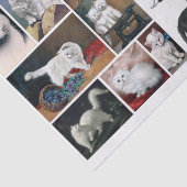 A Pretty Mix of White and Black Cats & Kittens 薄葉紙 (詳細)