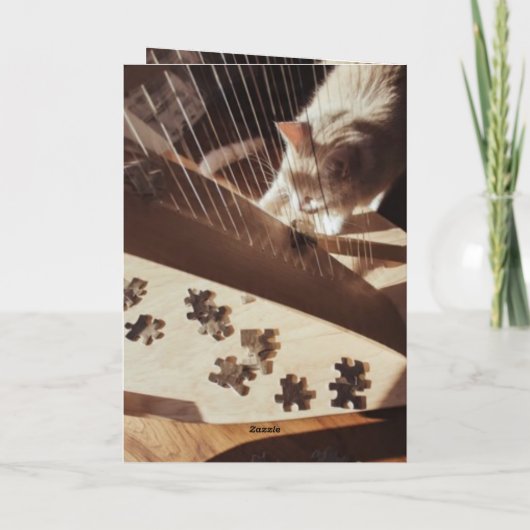 A Quiet Note Between Strings カード (裏面)