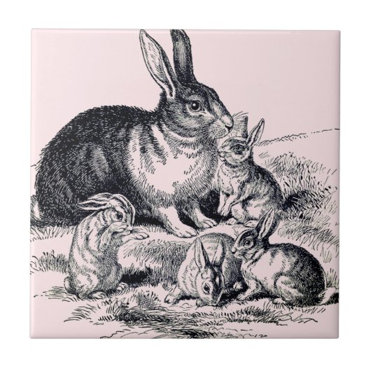 A rabbit family -ヴィンテージイラストレーション タイル (正面)