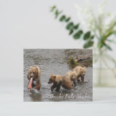 A Rare Feast at Brooks Falls ポストカード (スタンド正面)