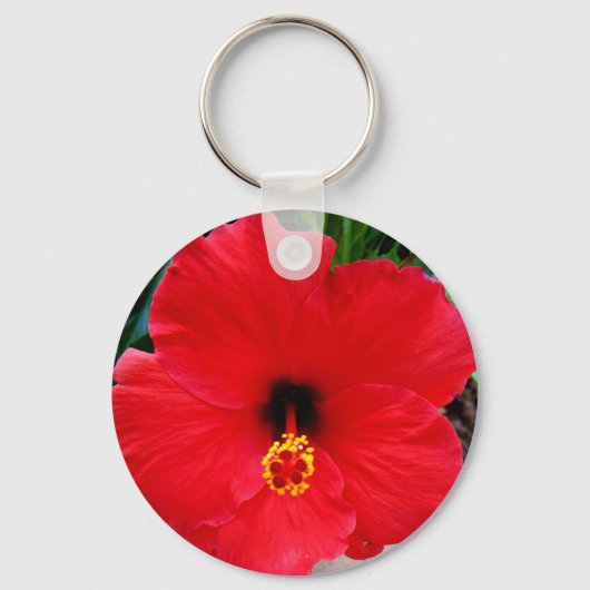 A Red Hibiscus Flower Keychain キーホルダー (正面)