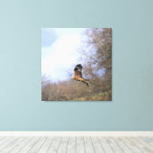 A Red Kite Stalling in Flight キャンバスプリント (インサイチュ (ウッドフロア))