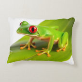 A Redeye Tree Frog アクセントクッション (裏面)