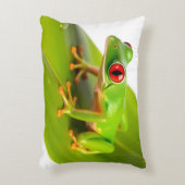A Redeye Tree Frog アクセントクッション (正面(垂直))
