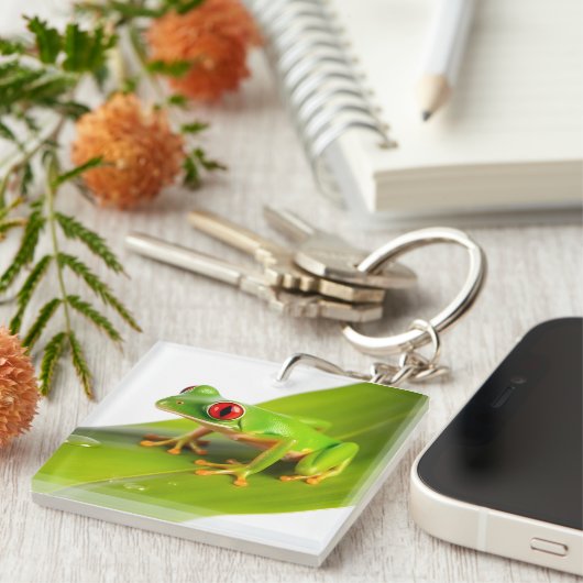 A Redeye Tree Frog キーホルダー (正面右)