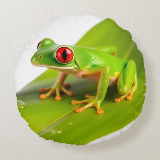 A Redeye Tree Frog ラウンドクッション (正面)