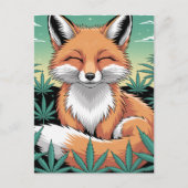 A Relaxed Red Fox in a Weed Field ポストカード (正面)