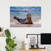 A seal on a beach along the Pacific Coast ポスター (ホームオフィス)