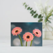 A Set of Three Pink Gerbera Postcards ポストカード (スタンド正面)
