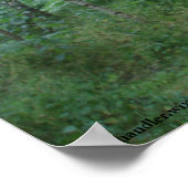 A Sherwood Forest Path ポスター (角)