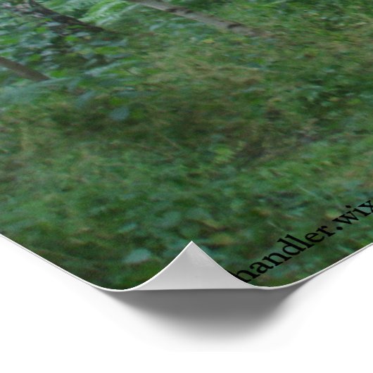 A Sherwood Forest Path ポスター (角)