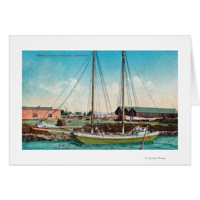 A Shipping Schooner ScenePetaluma, CA (正面横)