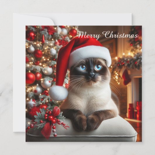 A siamese cat wears a Santa hat シーズンカード (正面)